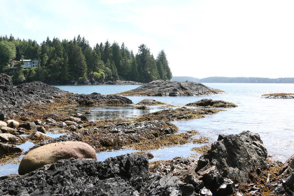 Duffin Cove Resort Tofino Eksteriør bilde